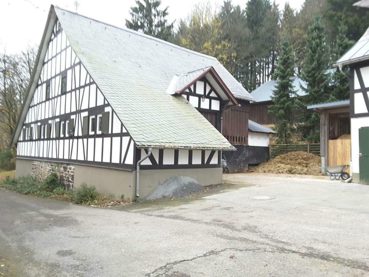 Berghof Schmitte * Winterberg